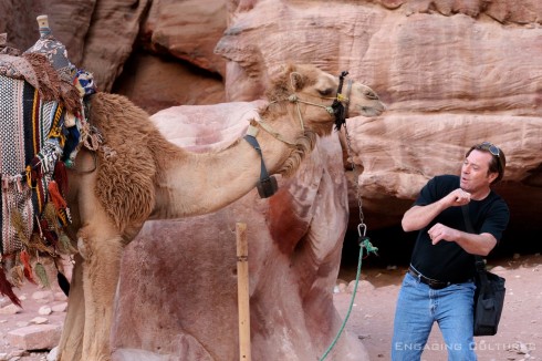 jordan, travel, petra, camel, middle east, tourism, engaging cultures